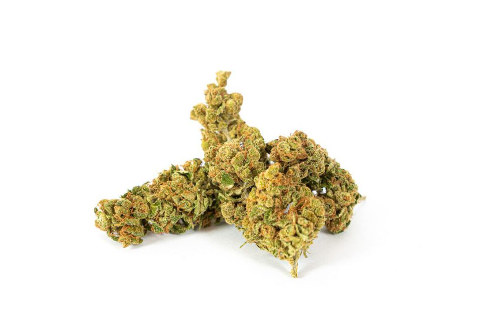 Slightly Stoopid Fruits