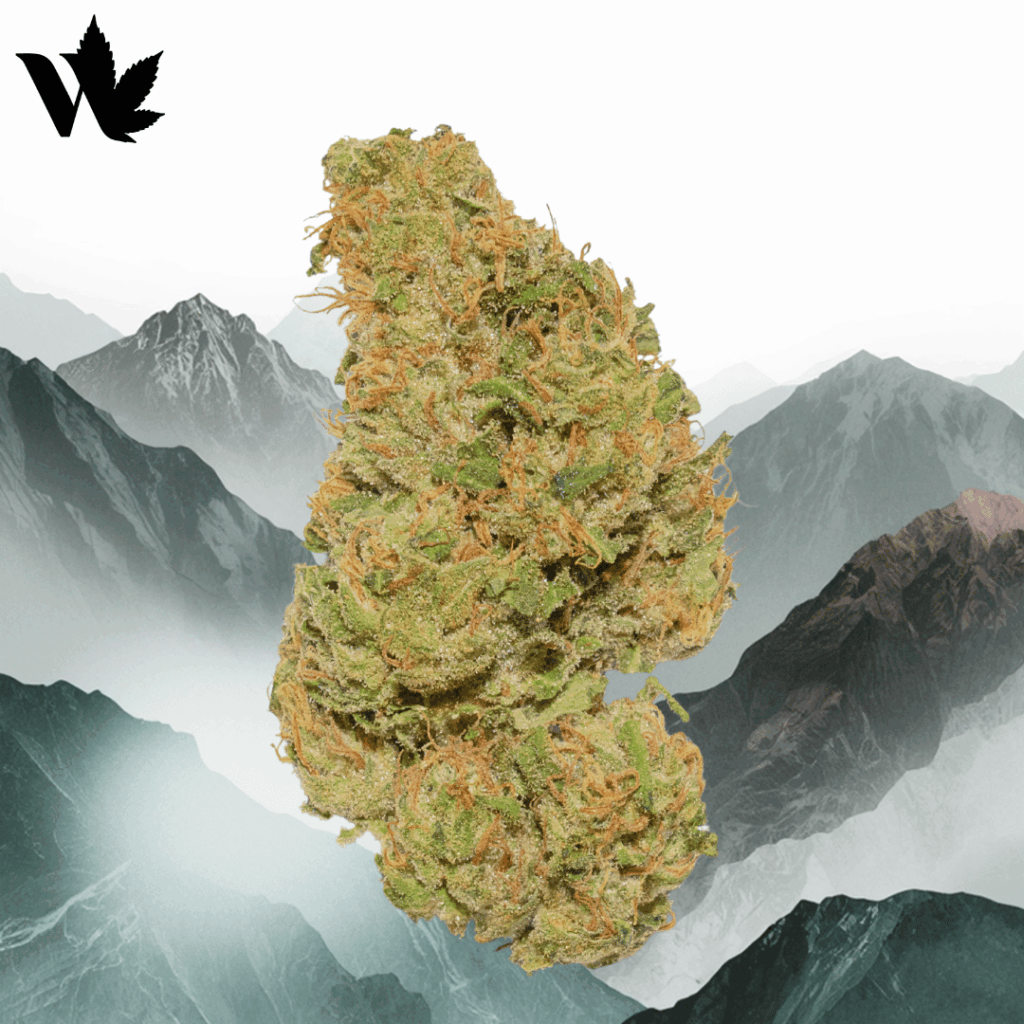 HIndu Kush Bud Shot