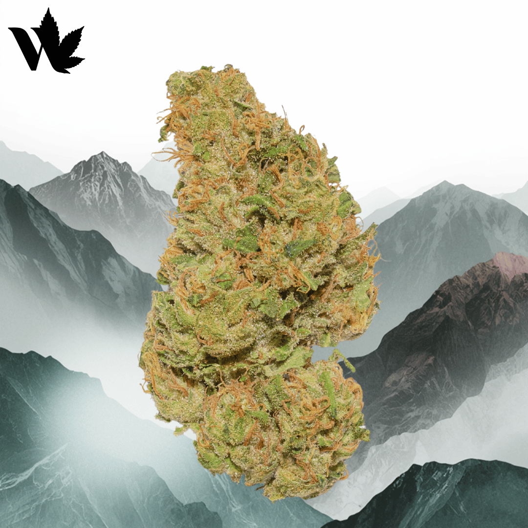 HIndu Kush Bud Shot
