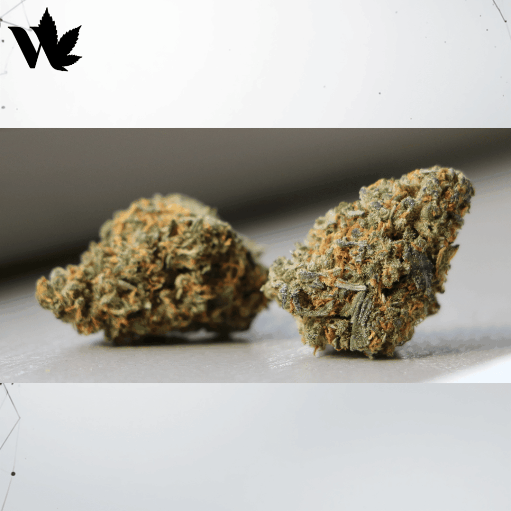 White Widow