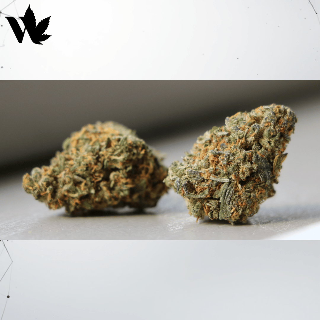 White Widow