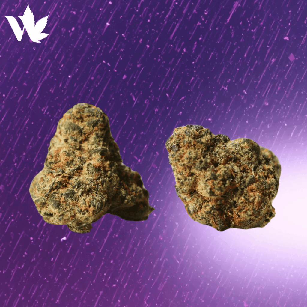 Duke Purple Rain