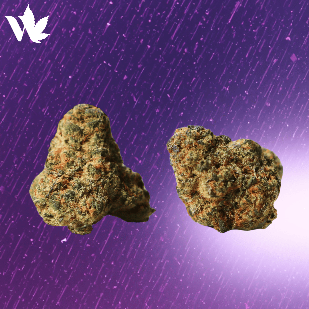 Duke Purple Rain