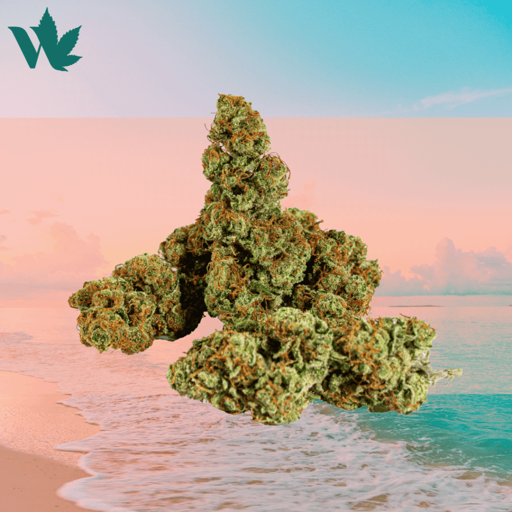 Peridot - Slightly Stoopid Fruits